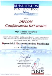 dns-diplom-zuzana-rybarova-web