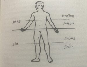 jing_jang_zuzica